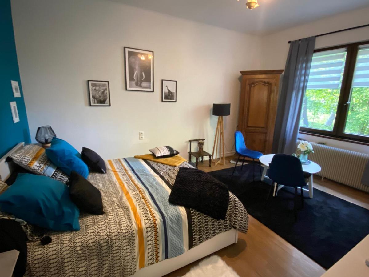 Magnifique Chambre Privée - Wifi - Parking - Jardin Wissembourg Extérieur photo