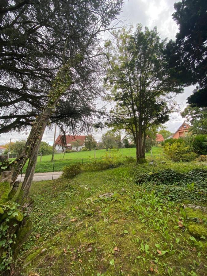 Magnifique Chambre Privée - Wifi - Parking - Jardin Wissembourg Extérieur photo