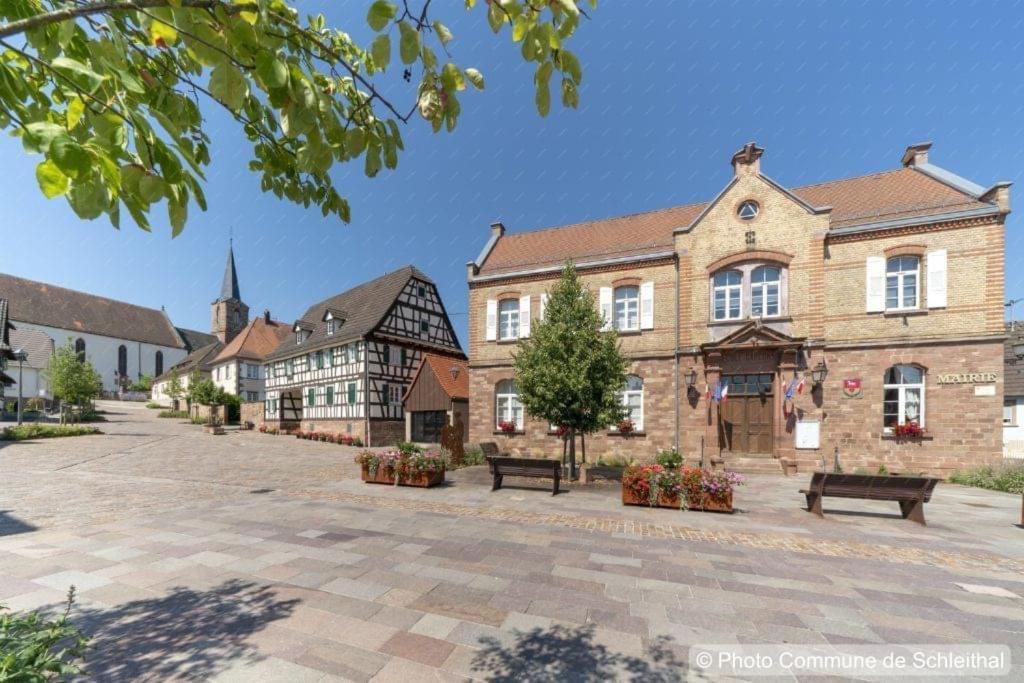 Magnifique Chambre Privée - Wifi - Parking - Jardin Wissembourg Extérieur photo