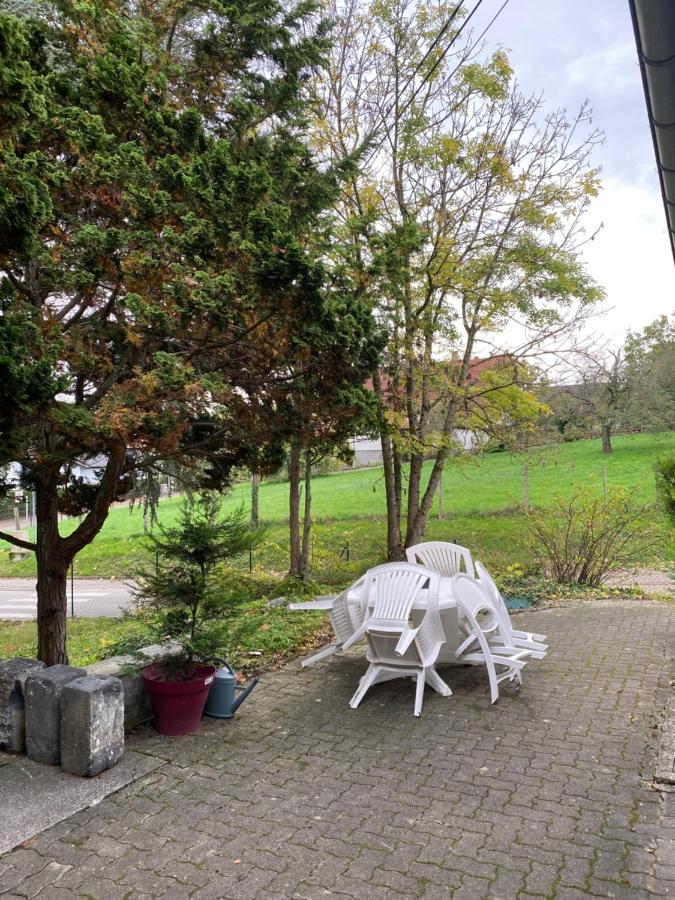 Magnifique Chambre Privée - Wifi - Parking - Jardin Wissembourg Extérieur photo