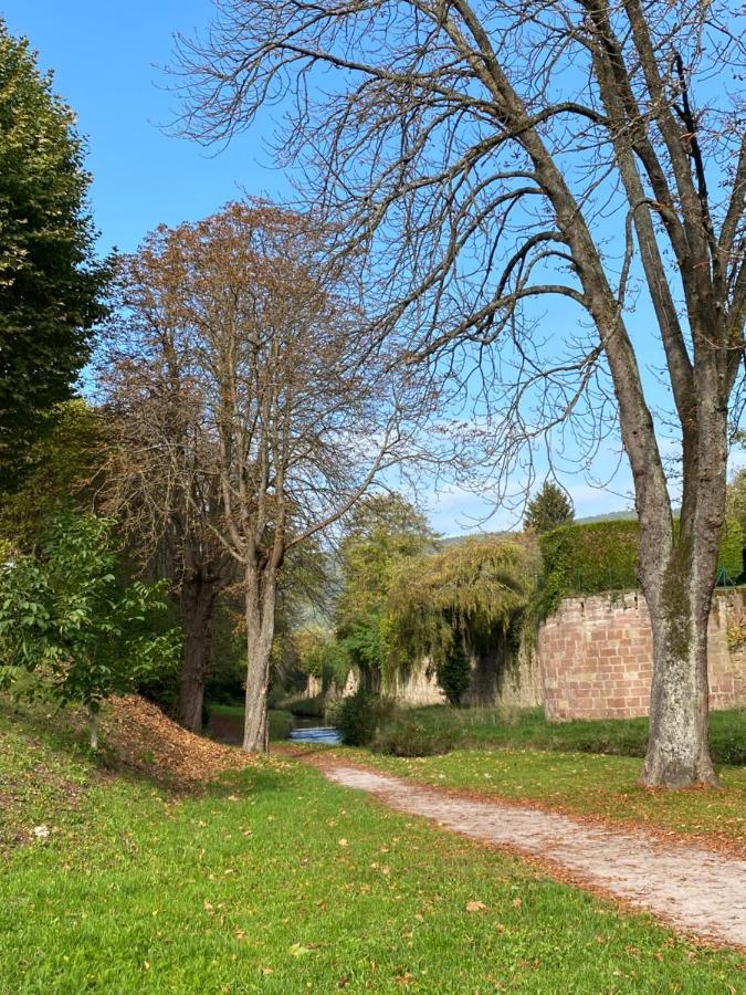 Magnifique Chambre Privée - Wifi - Parking - Jardin Wissembourg Extérieur photo